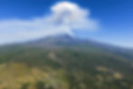 Close-up view of vineyard on volcanic soil in Sicily