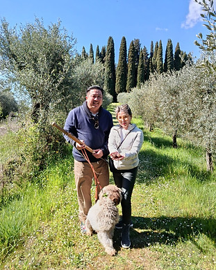 c8006c02-da98-4b87-8e0f-57474f498fa0_edi