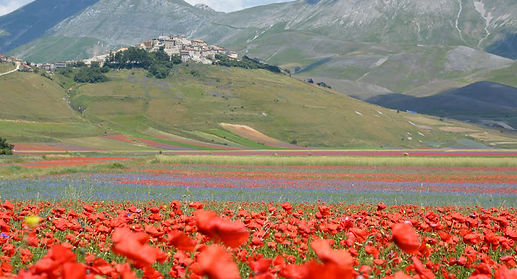 Castelluccio 1.JPG