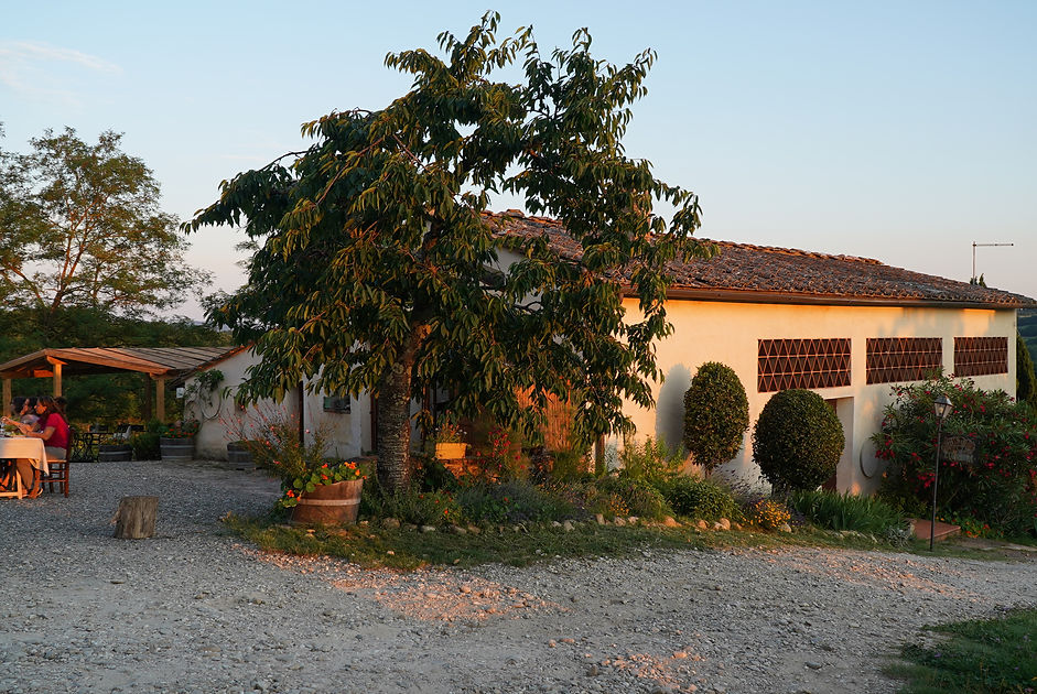 Private Wine Tour Montalcino - Grape Tou