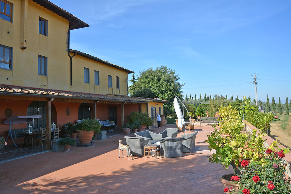 Private Wine Tour Montalcino - Grape Tou