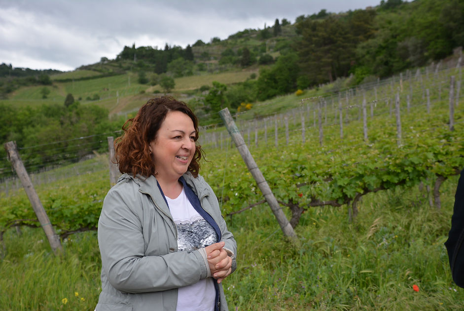 Private Wine Tour Montalcino - Grape Tou