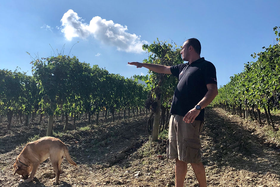 Private Wine Tour Montalcino - Grape Tou