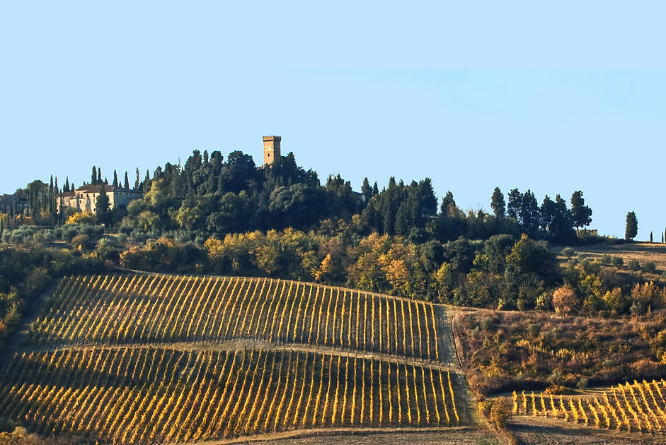 Private Wine Tour Montalcino - Grape Tou
