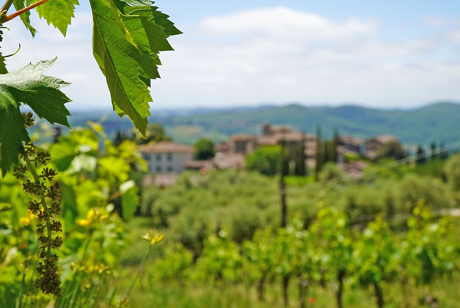 Private Wine Tour Montalcino - Grape Tou