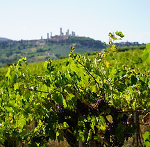 View over San Gimignano on a wine tour with 幸运168飞艇官方开奖记录 Grape Tours